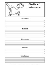 Steckbriefvorlage-Haubenmeise.pdf